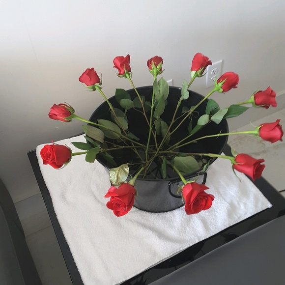 Meet your Posher, Brenda - Picture 1 of 1